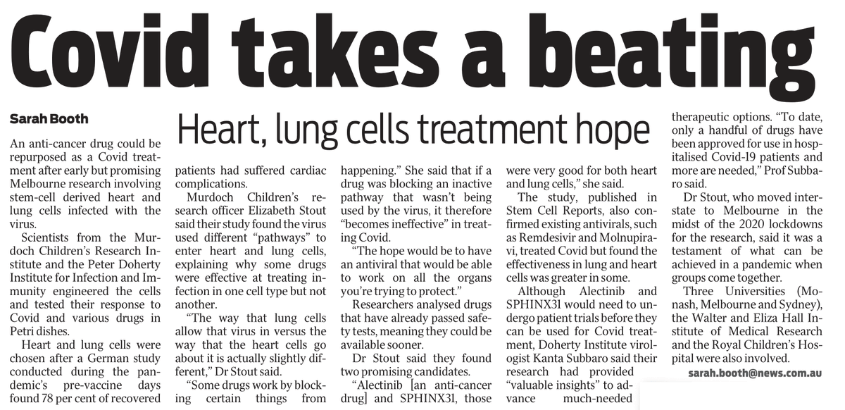 MCRI_for_kids's tweet photo. Murdoch Children's Dr Beth Stout and her team have studied how to best protect the #heart and #lungs from #COVID19, testing different treatments on #stemcells. She spoke to @theheraldsun about the #research | @Ethbey @TheDohertyInst 
✍️@sarahbooth_14 https://t.co/yUkHKF1ULH
