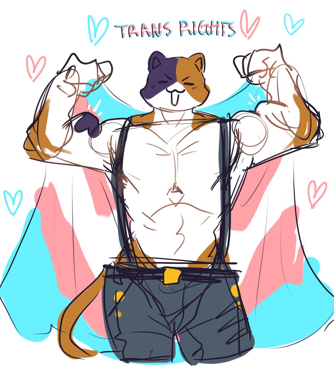 trans rights meowscles repost for pride month :3