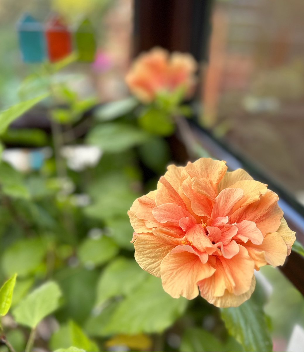 gradingsig's tweet photo. Gardening https://t.co/7Yce09w30J