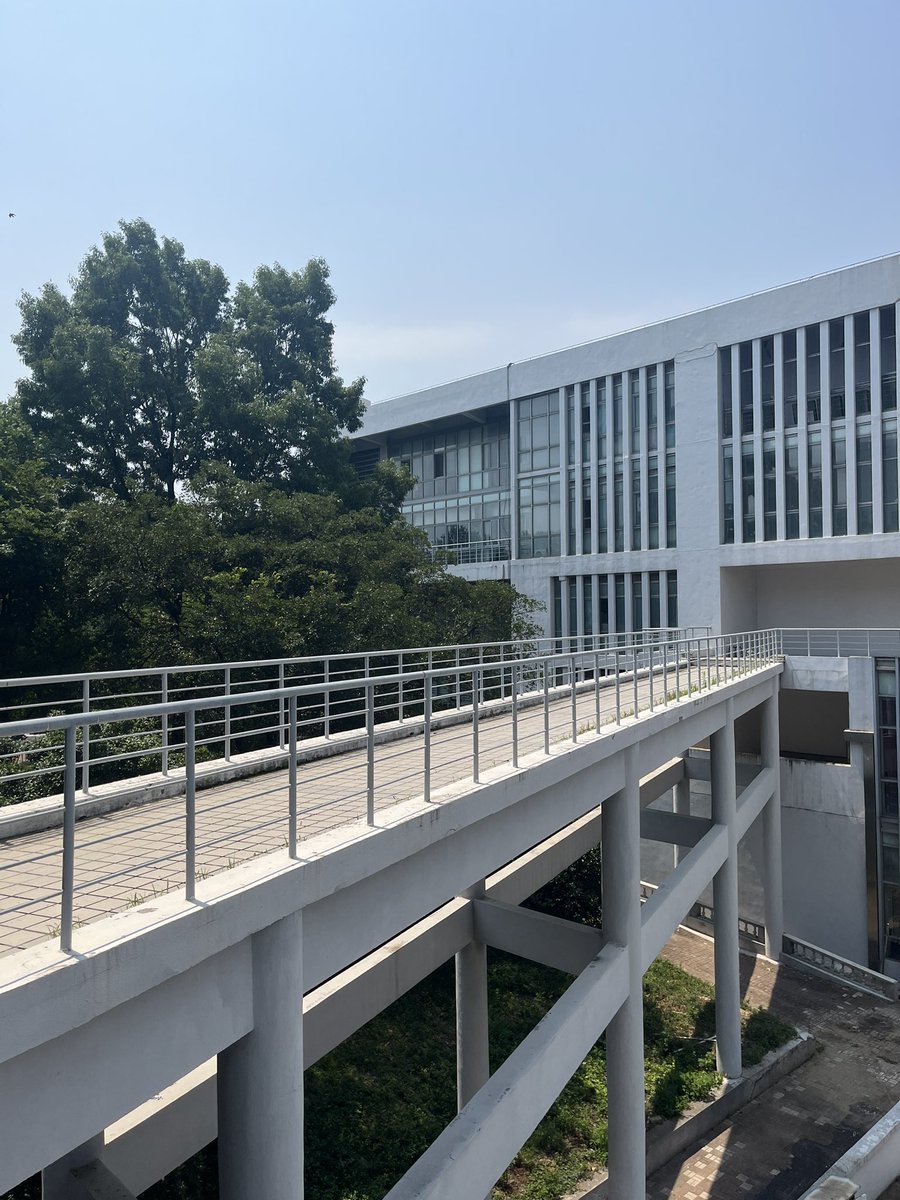 贾不假 tweet media