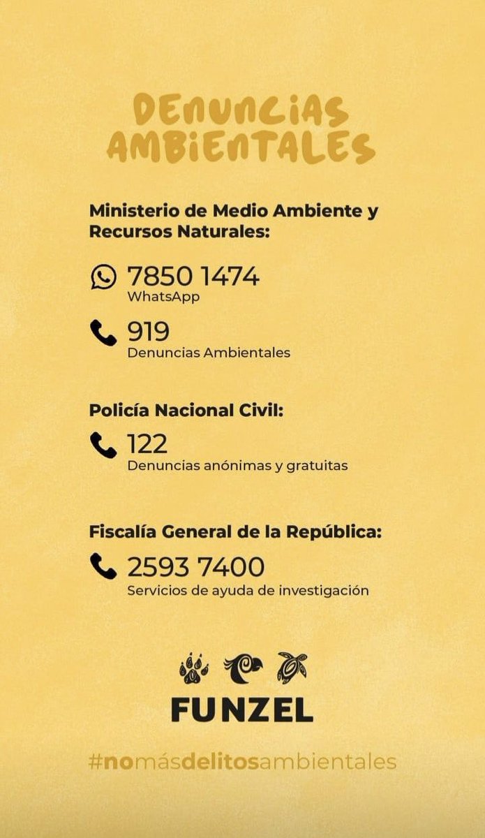 funzelsv's tweet photo. @jackerjaco Buenas noches 🙌🏻 lastimosamente en funzel ya no nos hacemos cargos de animales, sin embargo te compartimos los números de emergencia. Saludos ✨ https://t.co/eNIXzbTmNv