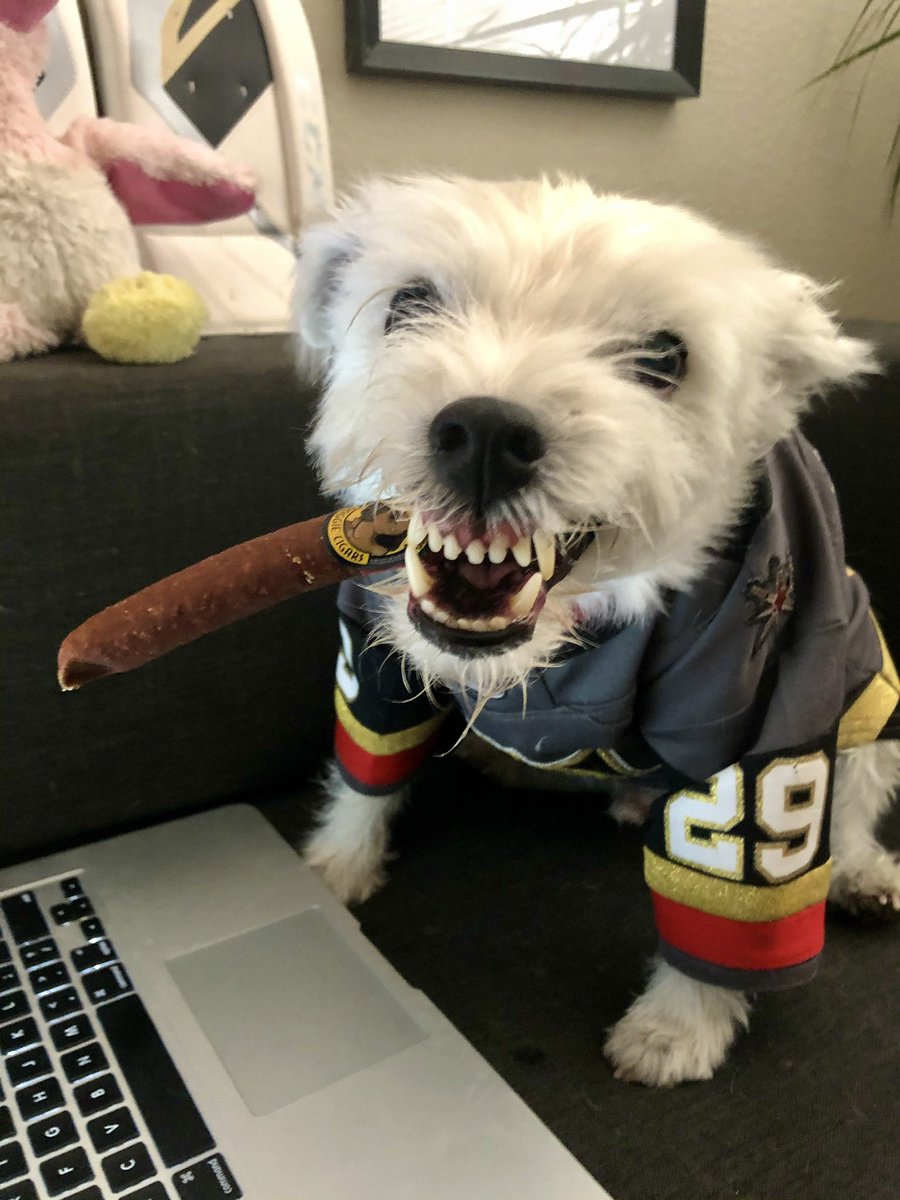 BarkAndreFurry's tweet photo. KNIGHTS WIN! KNIGHTS WIN!
   STANLEY CUP CHAMPIONS 
 Victory Sausage! 

🌭 
🌭
🌭
🌭

🌭 
🌭
🌭
🌭

🌭
🌭
🌭
🌭

🌭
🌭
🌭
🌭

#VictorySausage 
#GoKnightsGo 
#VegasBorn  
#StanleyCupFinal https://t.co/0RqNrzI1cF