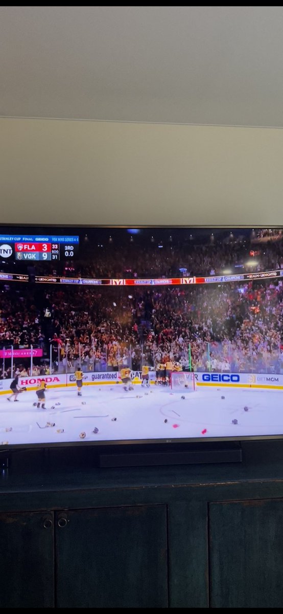 We won the Stanley Cup! #LasVegasGoldenKnights #GoKingsGo #StanleyCupWinners2023