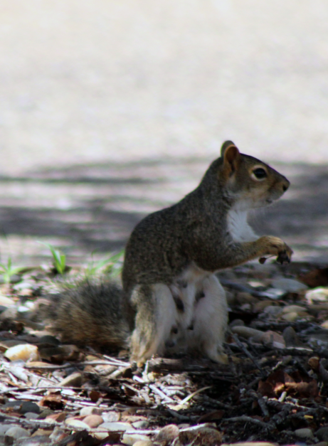 Judy Williams (@judywilliamsmed) on Twitter photo 