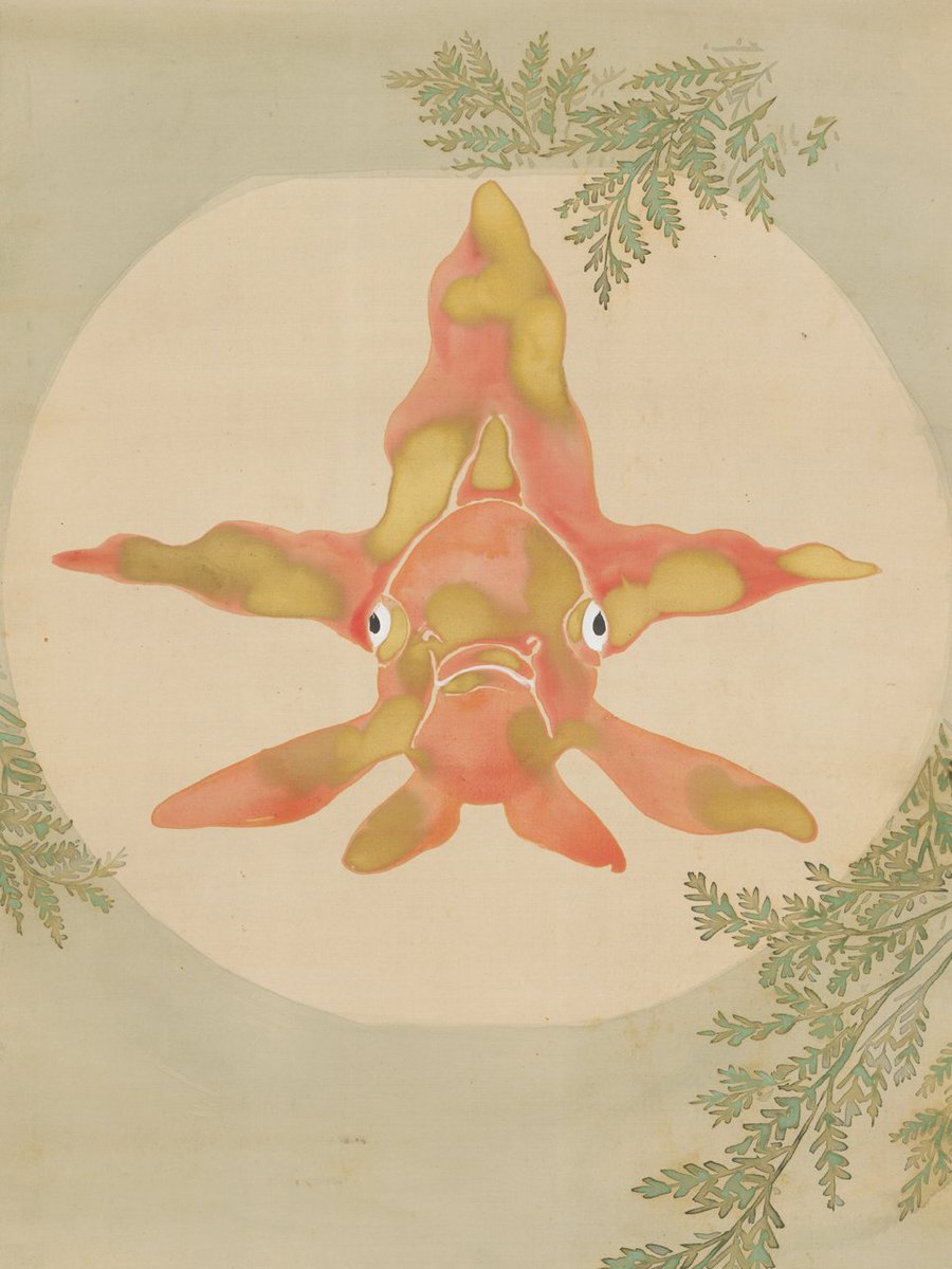 #キュレーターバトル に参戦！

当館の ＃イチ推し生きもの はユーモラスな表情の金魚。真正面からきょろりと見つめる表情がたまりません！

軒先に吊るされた、丸いガラス容器の中で泳ぐ金魚のゆらめきが涼しげです。ずっと愛でていたくなりますね。

神坂雪佳《金魚玉図》細見美術館蔵