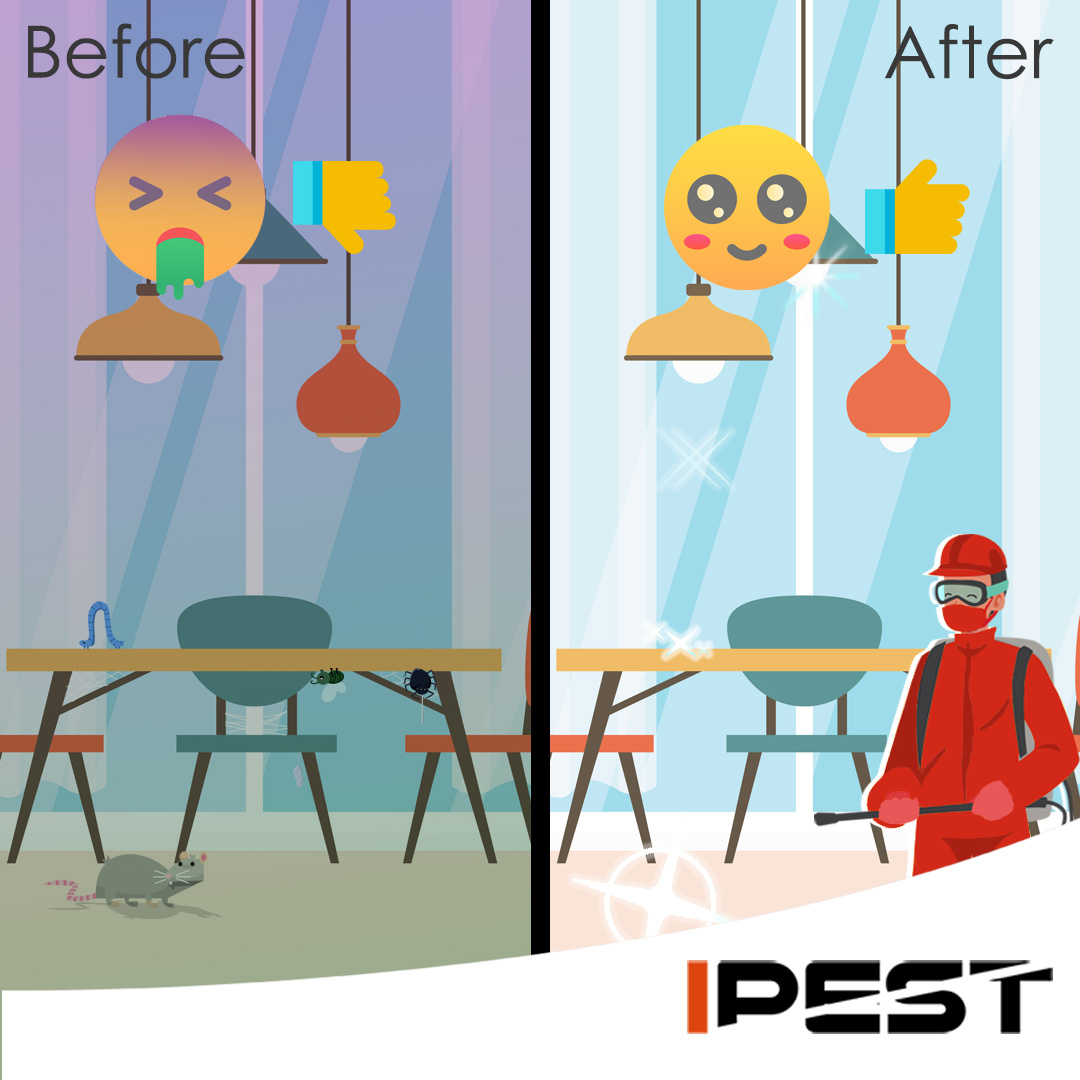 Say goodbye to creepy crawlies and hello to a pest-free home! 🚫🪲💯

Contact us today for reliable and effective pest control solutions.

#PestFreeLiving #ProfessionalService #QualityResults