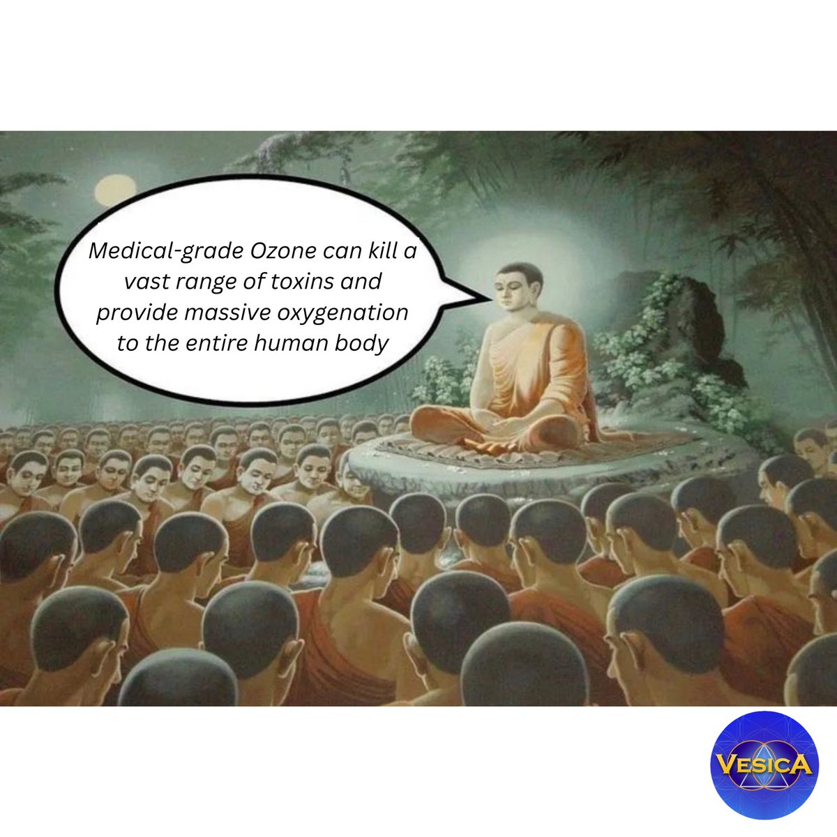 The Vesica Institute tweet media