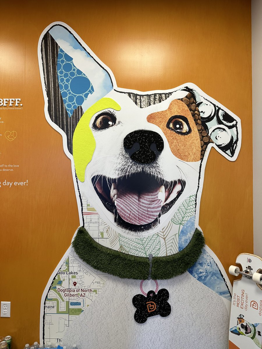 GilbertAZMayor's tweet photo. We celebrated a Gilbert Chamber ribbon cutting for the brand new Dogtopia of North Gilbert! 🐕
Located at 876 N. McQueen Rd. Ste 108. Dogtopia of North Gilbert offers full-day daycare, overnight stays, and spa services for your dog to enjoy.
#WelcomeToGilbert https://t.co/ptZjXhpWKM