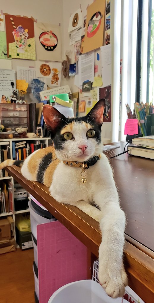 ModEnchantment's tweet image. Yesterday&apos;s vibe 🐈💮🐟🍥