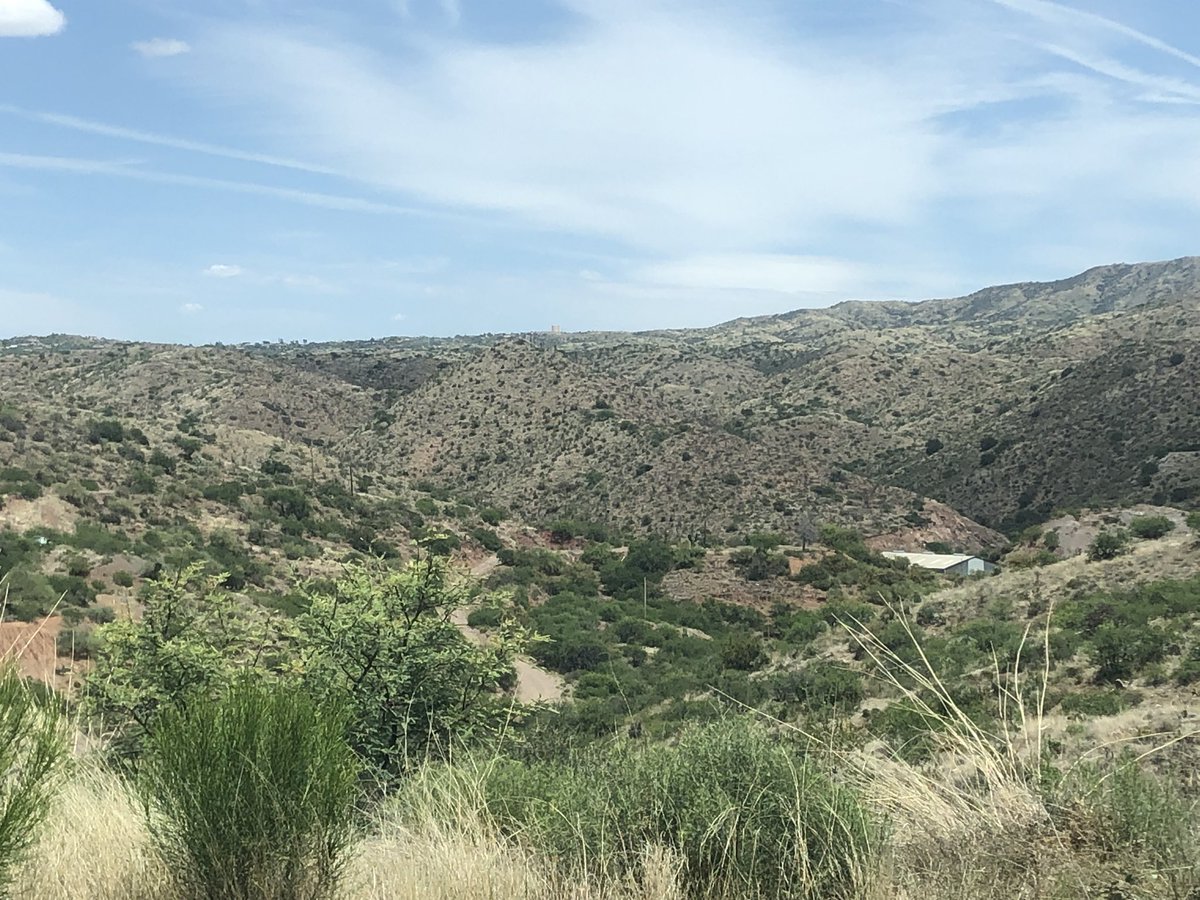 Dr. Salma Patel tweet media