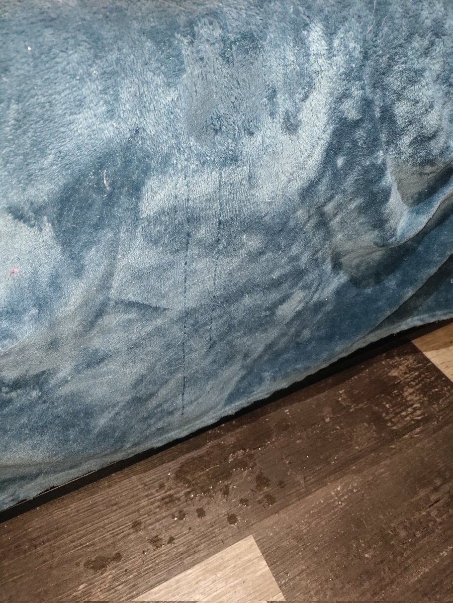 AnnaJaide16's tweet photo. Wanna see how I made this mess? Go check out my only fans, new video now up! 😘💦
https://t.co/MCpKzFDPQM https://t.co/1VuxtIq8kK