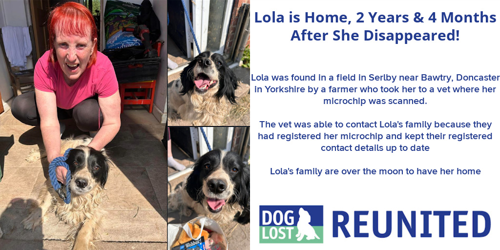 #ReunitedDog LOLA #REUNITED

Lola is home, 2 years and 4 months After She Disappeared! 

#DogLostUK