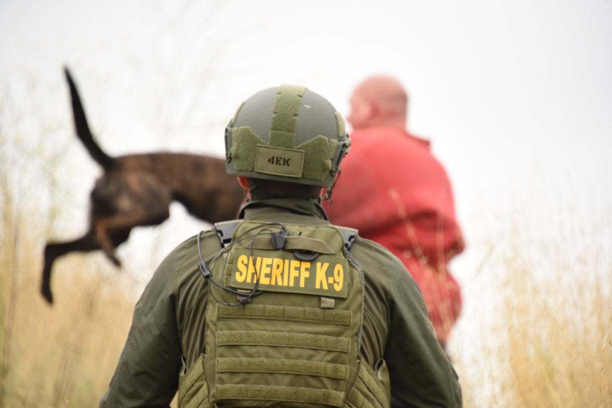VENTURASHERIFF's tweet photo. A work day can’t get much better than this. K-9 Unit training with our Aviation Unit.
#SAR #412EPX #BellHelicopter
#PoliceK9 #K9Unit #K9 #PoliceDogsofInstagram #LawEnforcement #LEO #VCSOK9Unit #VCSheriff #Sheriff #Ventura https://t.co/lEPywdwwA7