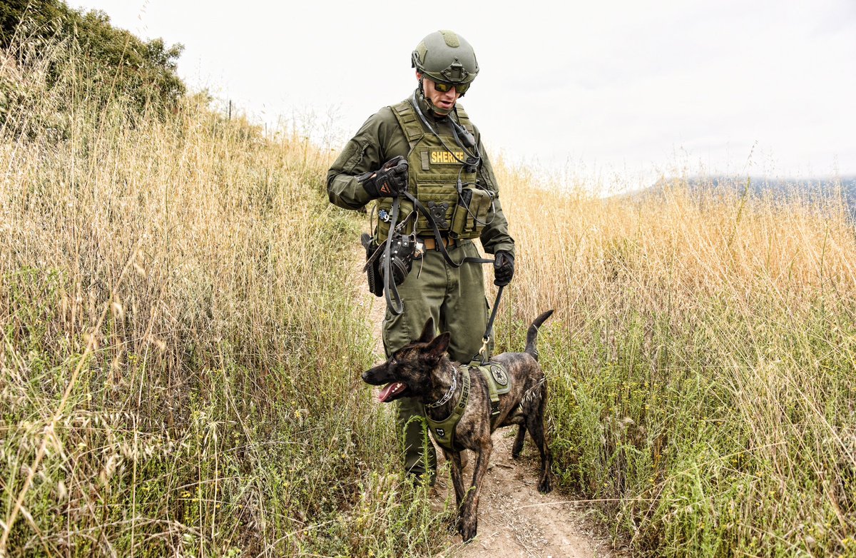 VENTURASHERIFF's tweet photo. A work day can’t get much better than this. K-9 Unit training with our Aviation Unit.
#SAR #412EPX #BellHelicopter
#PoliceK9 #K9Unit #K9 #PoliceDogsofInstagram #LawEnforcement #LEO #VCSOK9Unit #VCSheriff #Sheriff #Ventura https://t.co/lEPywdwwA7