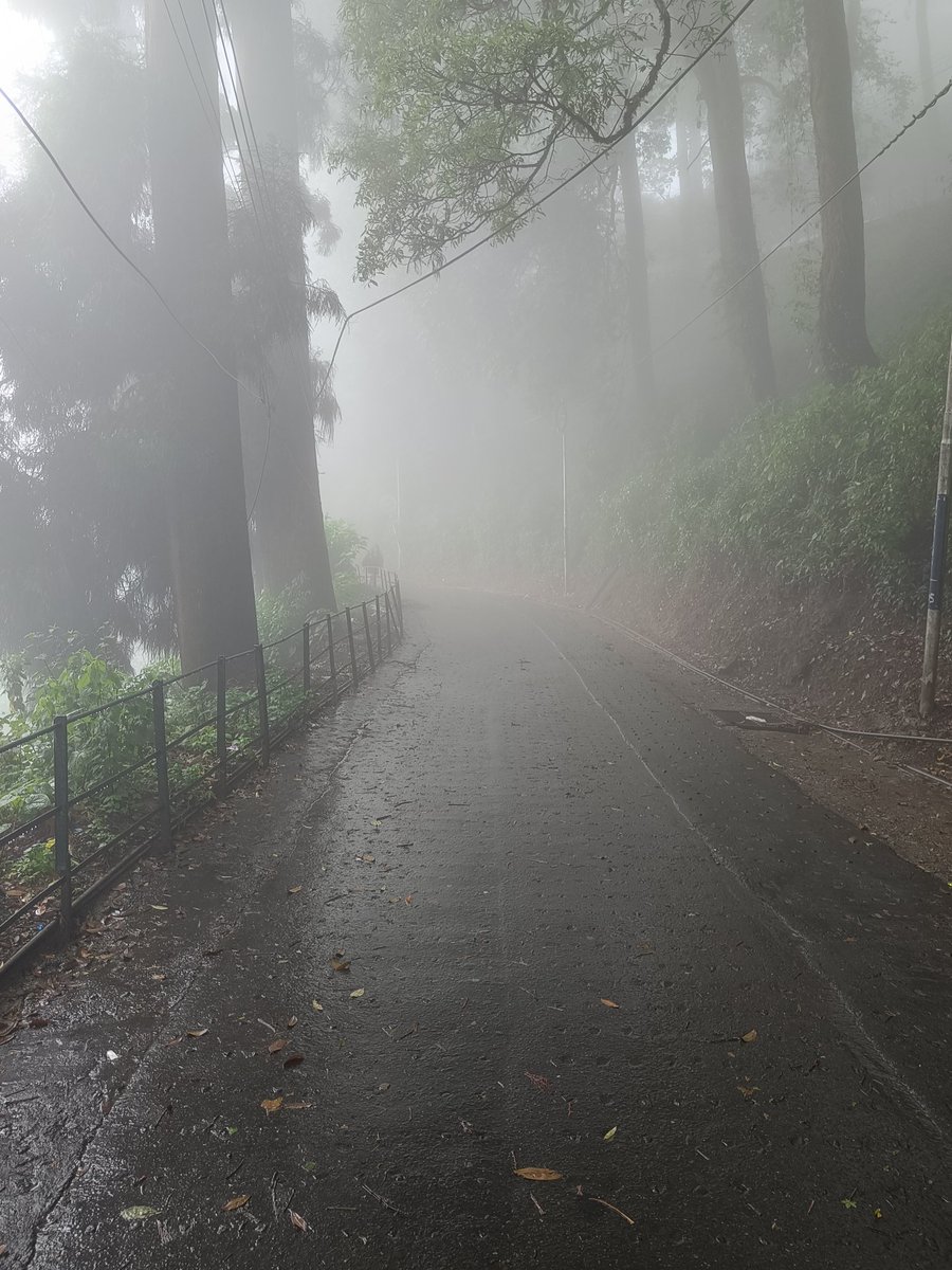 Went walking early morning in Darjeeling. It had rained all night. The town woke up covered in mist. This path seemed so familiar perhaps from a film that I had seen. Memory works in strange ways!