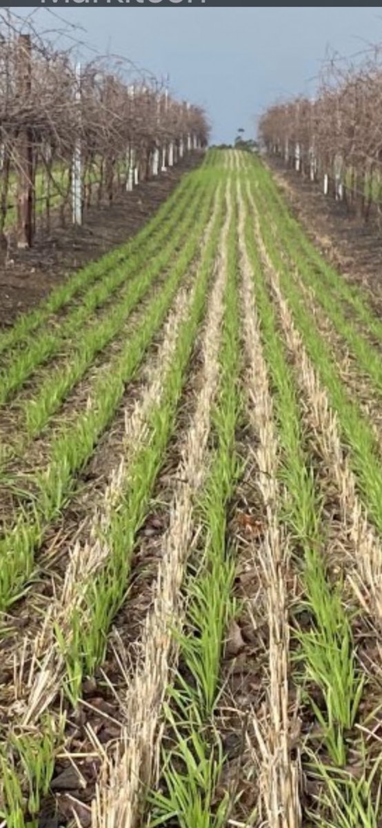 Tony White tweet media