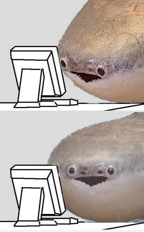 Sketchy_raptor's tweet image. 