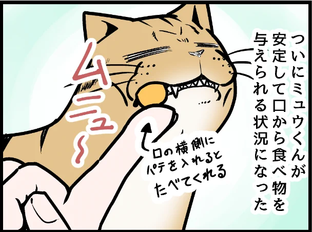 ミュウくんサポートありなら食事してくれる! ↑のURLから漫画の最新話ページに移動できます 今の話はいまとぴ版と同時更新の為、時系列がズレますのでリンク先の 「ライブドアブログ4月13日ミュウくん、なんか体調おかしい?の巻」から読んでいただくことをお勧めいたします