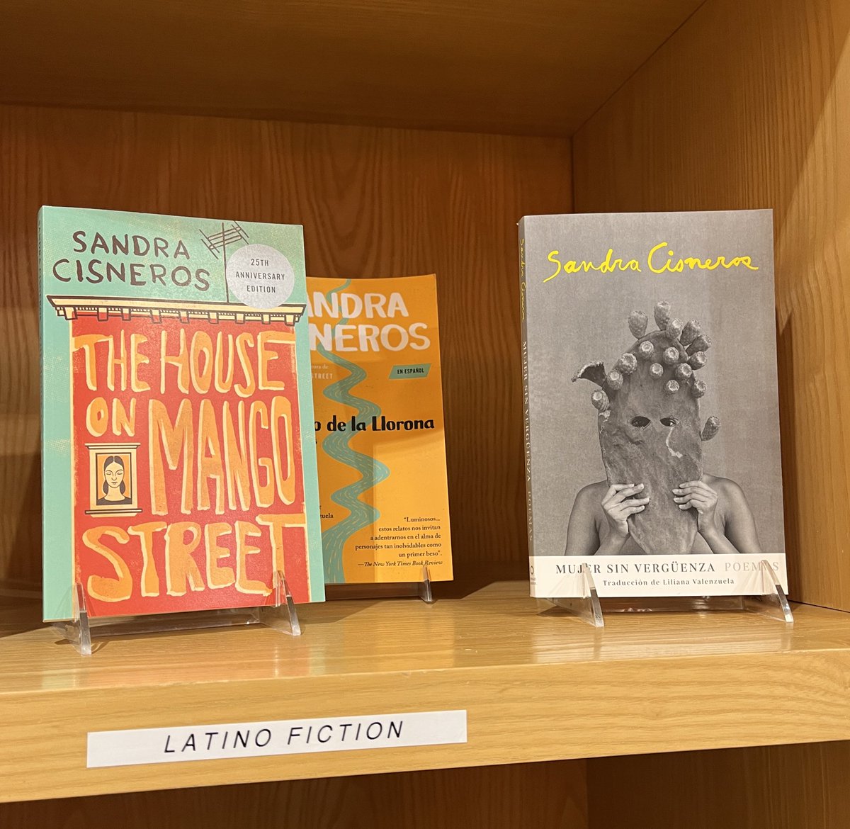 #MuseumMile #NYC @TheAfricaCenter @elmuseo @TheRealCAchebe #ChinuaAchebe #SandraCisneros #Books