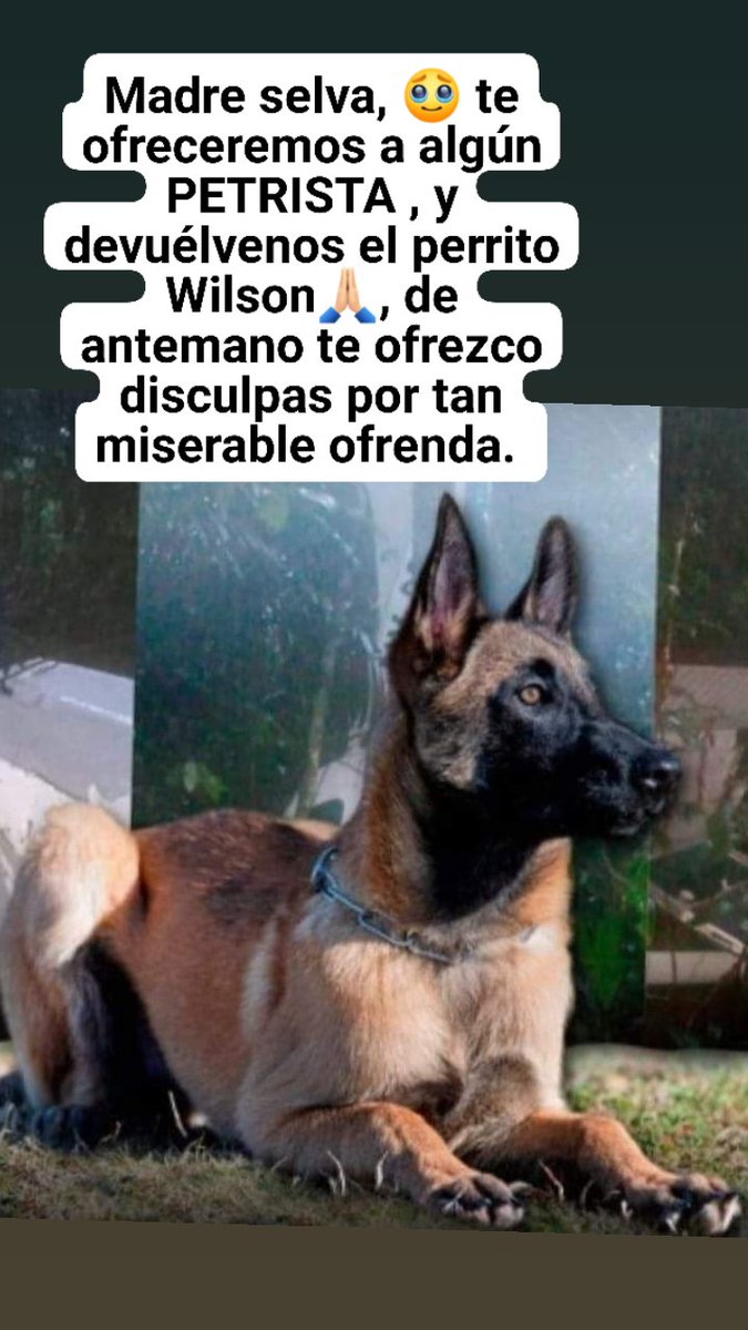MILLOS@1981 tweet media