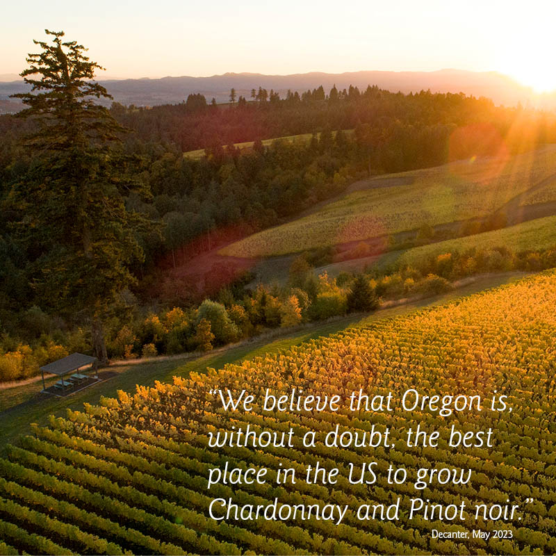 Oregon Chardonnay is flourishing and we couldn't agree more.

Sincere gratitude to <a href="/Decanter/">Decanter</a> and <a href="/ShanaSpeaksWine/">Shana Clarke</a> for including Fairsing in the recent article applauding Oregon Chardonnay as a product with global influence.

decanter.com/wine/chardonna…