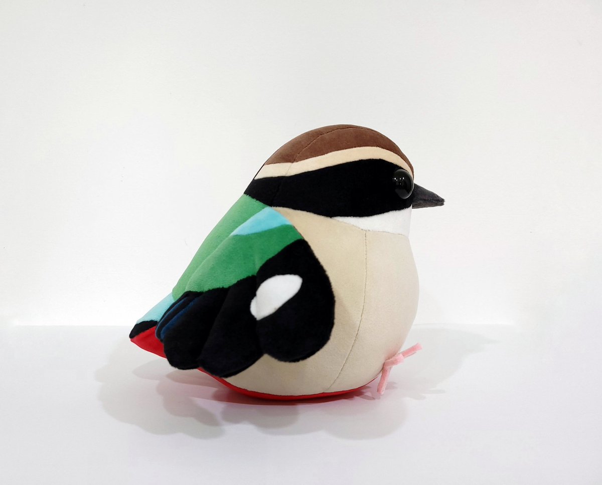 icecream80810's tweet photo. Fairy Pitta 🧚‍♂️🐦
八色鳥
#bird #animal #pitta #plush #plushie #ぬいぐるみ https://t.co/nwLcssZq8A