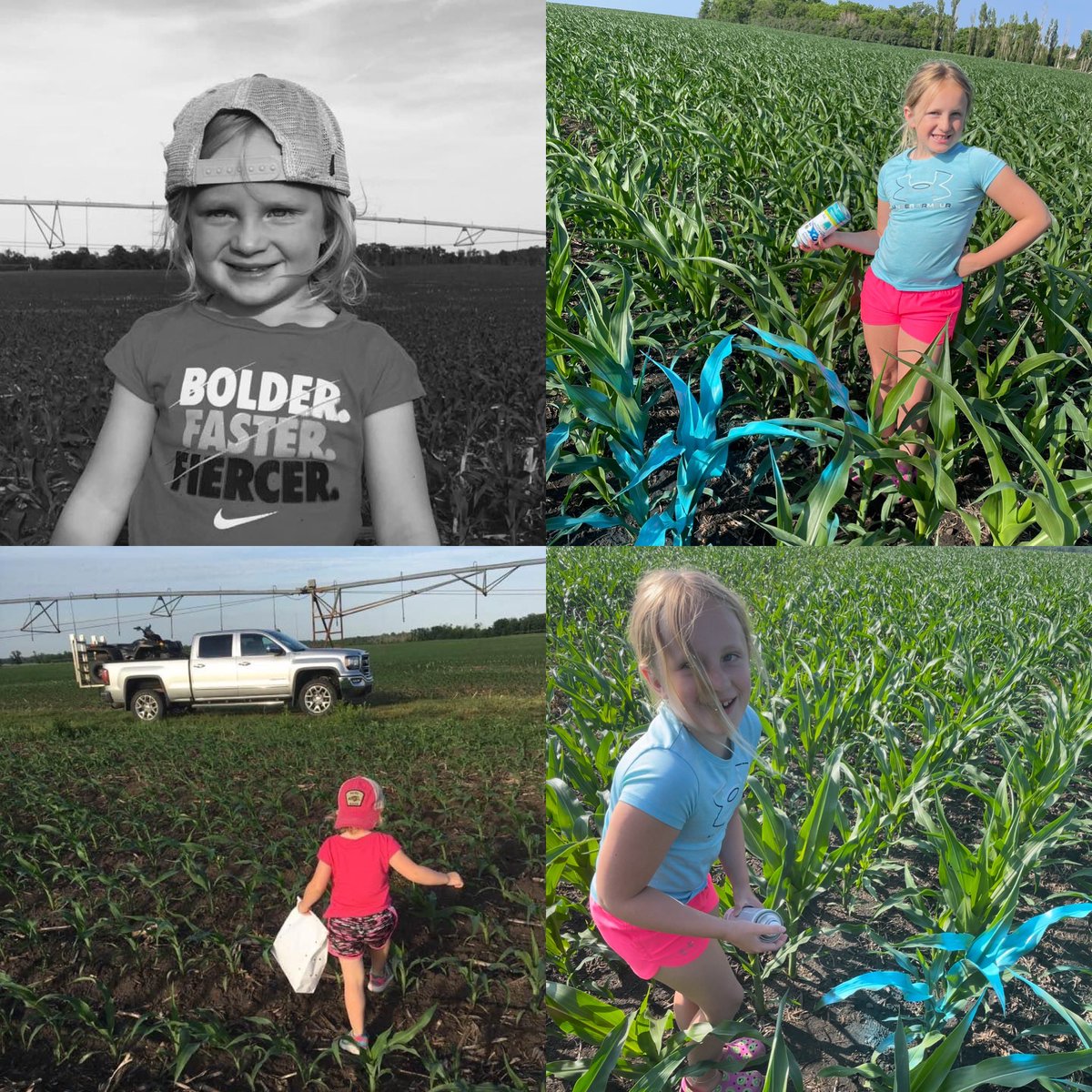 2 years apart and one day; same corn field…color choice this year was “Aruba” aka teal 🩵 next pic shows the past 84 hours of grown in the @winfieldunited #croplan #3490 in Ottertail County #minnesota under irrigation with one pass 28:ATS 80:20 blend so far. Stellar growth demo