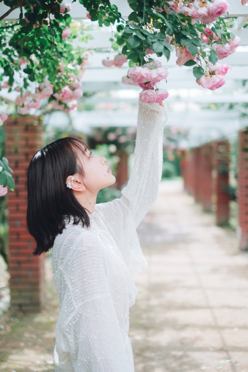 .

2023年5月30日

まだ紫陽花は全然でした。
次はだいぶ咲いてそう。

#京都府立植物園 #portrait #ポートレート 
#滋賀 #京都 辺りで #被写体募集 #相互無償