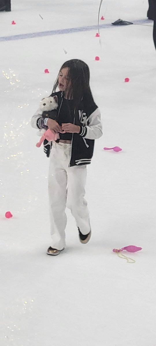 DekeHenriFurry's tweet photo. I cannot thank @VGKFlamingo enough!
My brother’s stuffy found the ice and he’s going home with the Conn Smythe Trophy winner’s daughter! 
~ Deke🐾
#VGKFlamingo🦩
#VegasBorn  
#GoKnightsGo
#StanleyCupChampions https://t.co/EpVLjLB7p0