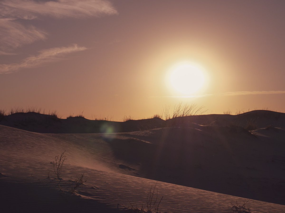 ‘This is the sense of the desert hills, that there is room enough and time enough.’
-Mary Hunter Austin

#adventuresintexas #sandhillstatepark #westtexas #goldenhour #lumixg9 #lumix #wherelumixgoes #lumixmoment #changingphotography #sunset #texasstateparks #bebrave #livefuriously