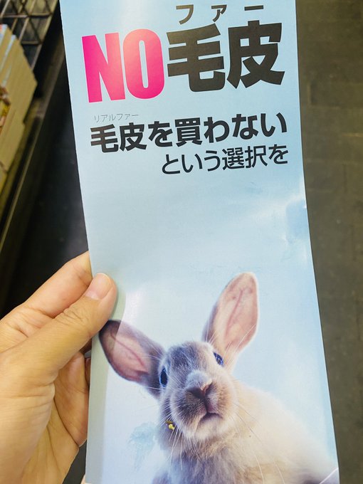 新版 赤字商品/一回使用近新chanel限定超レア蛇の皮 サイズ:46 赤字