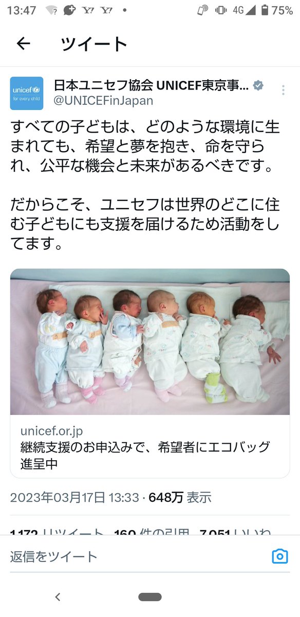 ginnookami007 tweet media