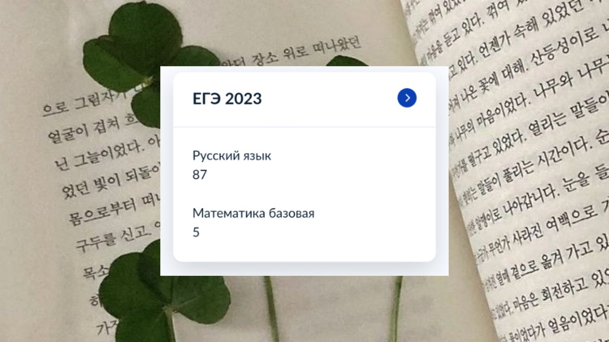LINW00YA's tweet photo. АВЫЖИВЫ https://t.co/6Cts8gZpzo