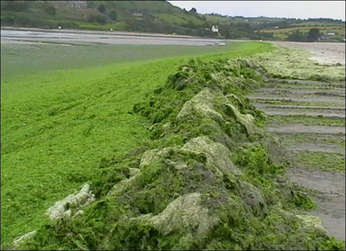 EPA Ireland tweet media