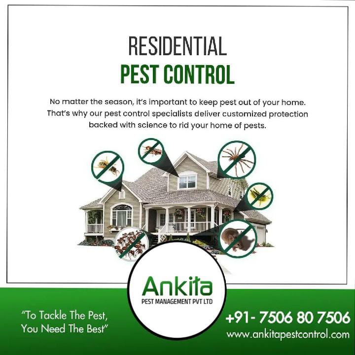 A CLEAN PLACE IS A SAFE PLACE.
For best services call now : 
7506 80 7506
Ankita Pest Control Services
.
.
#homesafety #childsafety #cleansurrounding #pestcontrol #pestcontrolservice #pest #termitecontrol #pestmanagement #bugs #antirayap #covid #termites #insects #bedbugs