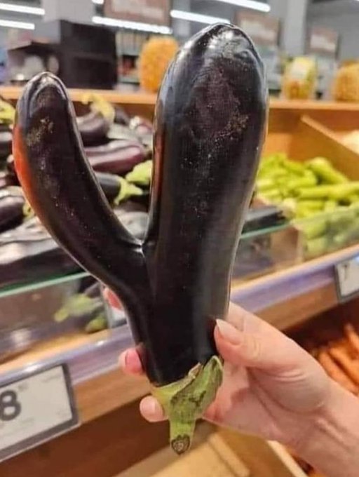 Mother Nature is serving me so well lately!  Maybe I am a vegetarian now 🤷&zwj;♀️🤔🤣 https://t.co/xb8Y5tw<a href="/tag/x"class="tags"><span>#x</span></a><a href="/tag/twitterx"class="tags"><span>#twitterx</span></a><a href="/tag/thex"class="tags"><span>#thex</span></a>