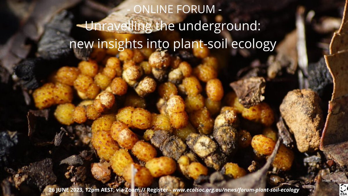 Have you registered for this online forum yet? 👇

"Unravelling the underground: new insights into plant-soil ecology from diverse fields."⁠

When? Monday June 26, midday AEST via Zoom⁠

ecolsoc.org.au/news/forum-pla…⁠

📷: Ryan Craig⁠ ⁠ 

#SoilEcology #Biodiversity