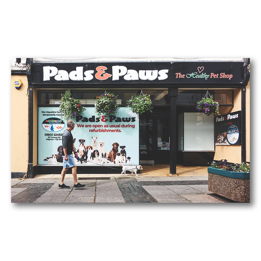 HudsonSwan2's tweet photo. 'The Lonesome Dog Walker...'
#streetphotography #streetlife #city #urban #citylife #candid #people #cornwall #streelife #urbanphotography https://t.co/b1pKyf8Ibg