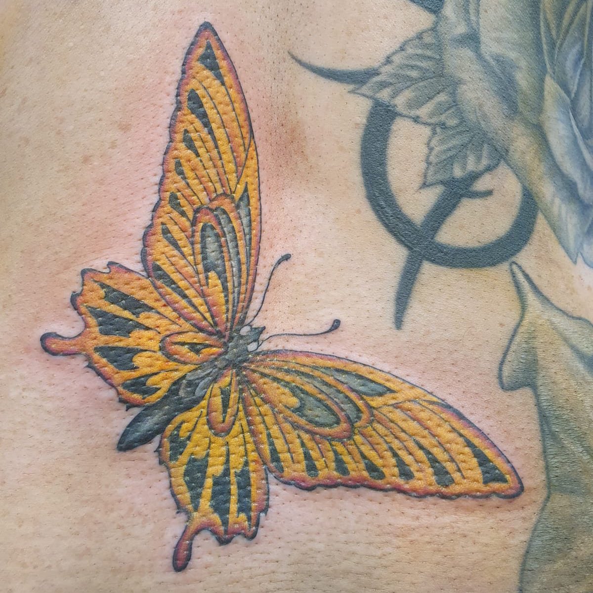 bye bye butterfly guys  rTattooRemoval