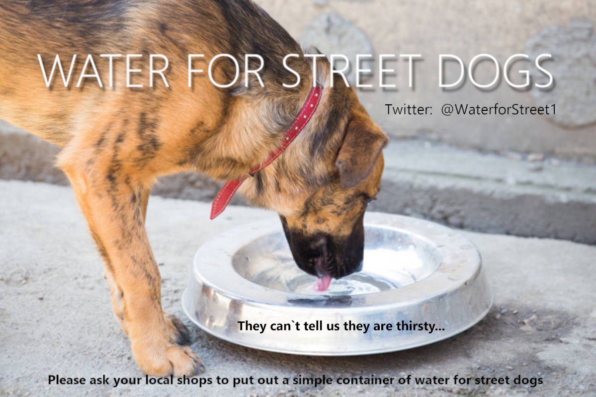 @watch_welfare Please highlight the need for #highstreetshops to put out a container of water each day for pet dogs and those of the homeless. The #heatwave is terrible for animals who can't tell us they need water. #RSPCA #dogstrust #homeless #streetdogs