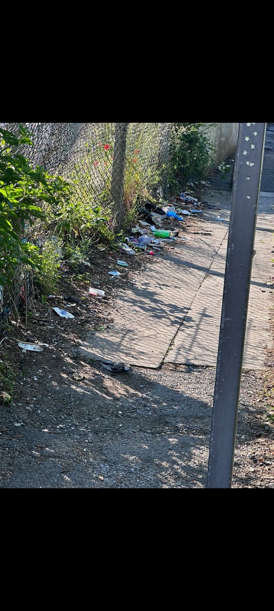 Street Solve tweet media