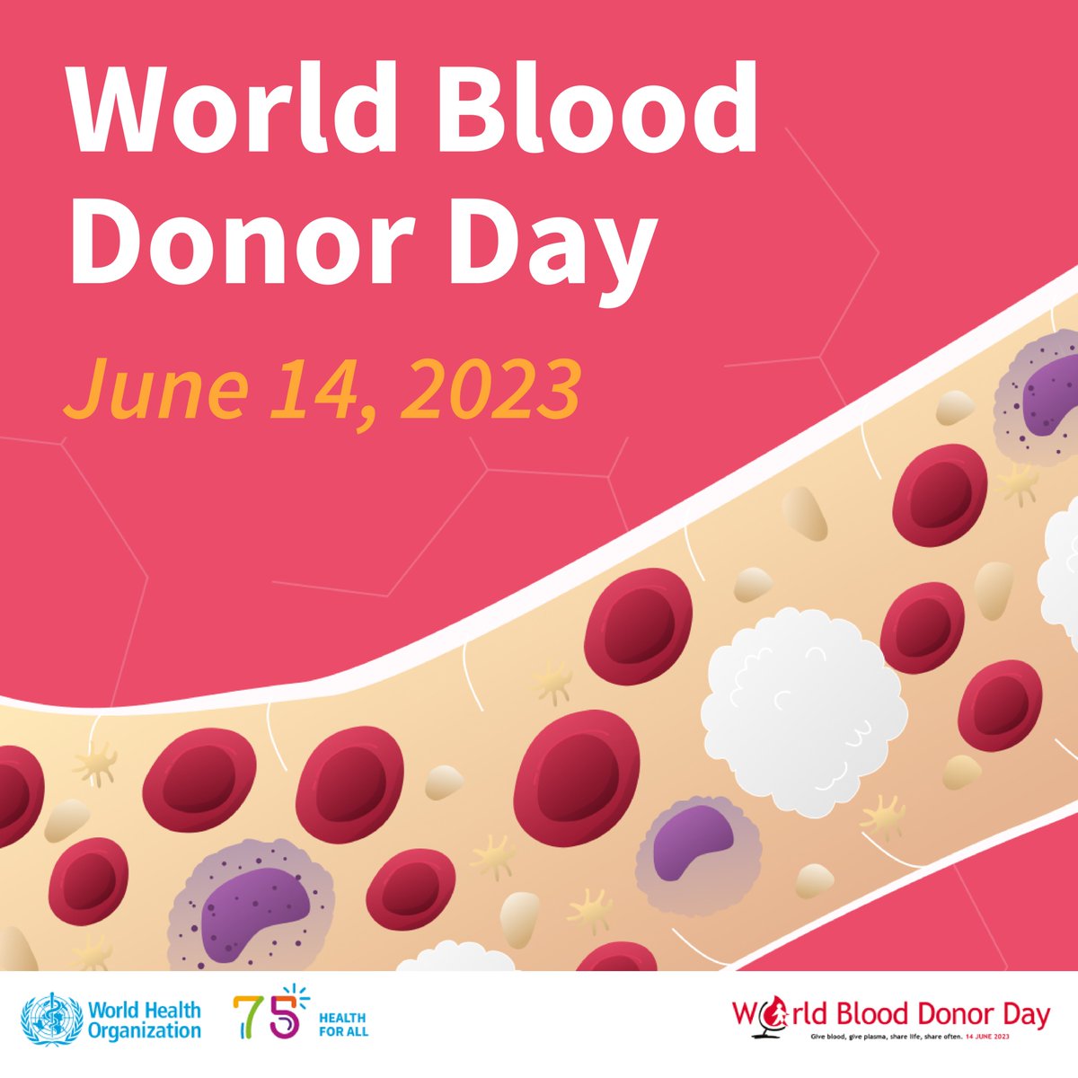 #DYK that a single blood donation can potentially save up to three lives. On #WorldBloodDonorDay, we would like to recognize blood donors worldwide and raise awareness about the importance of blood and plasma donation. For more information from the WHO: bit.ly/3X17QM3