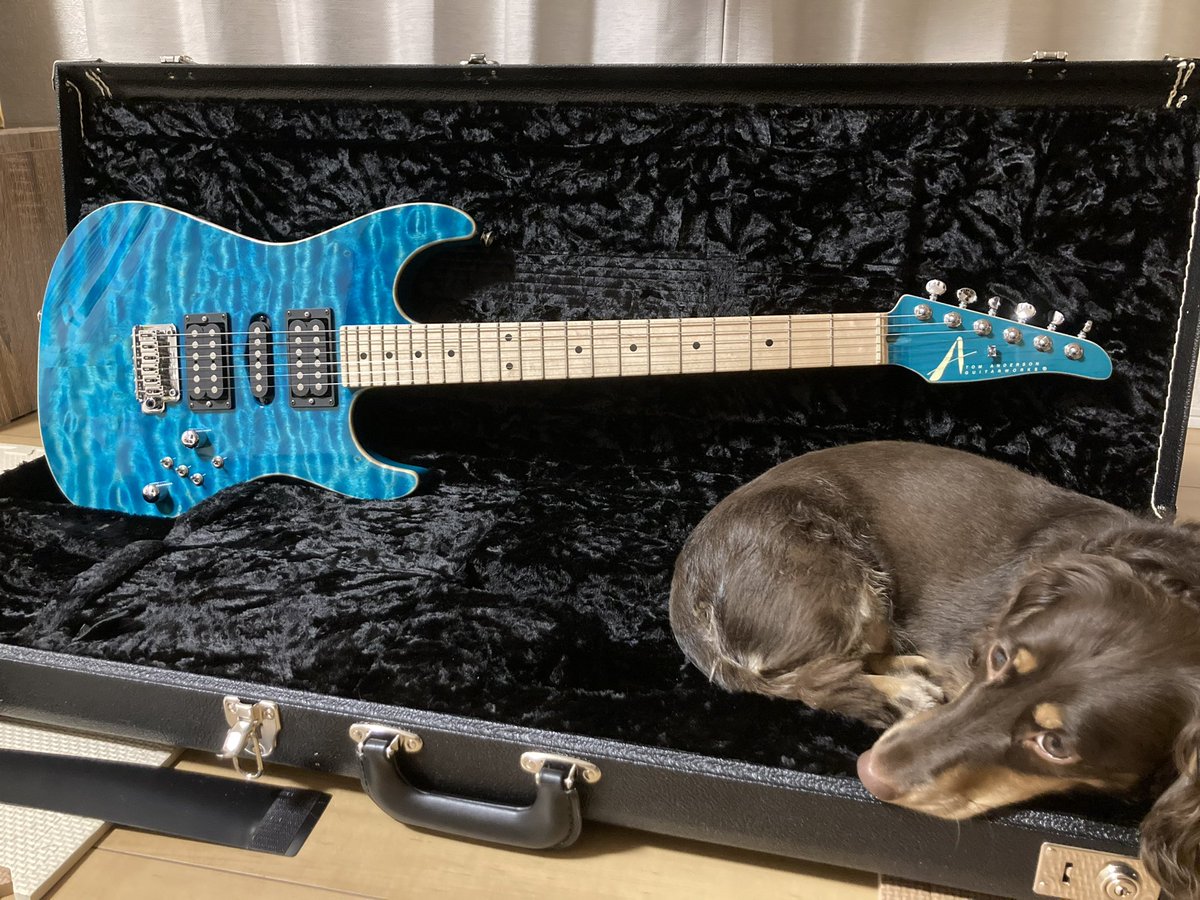 #あなたの愛機見せてください
贅沢すぎるベッドにピッタリ😂