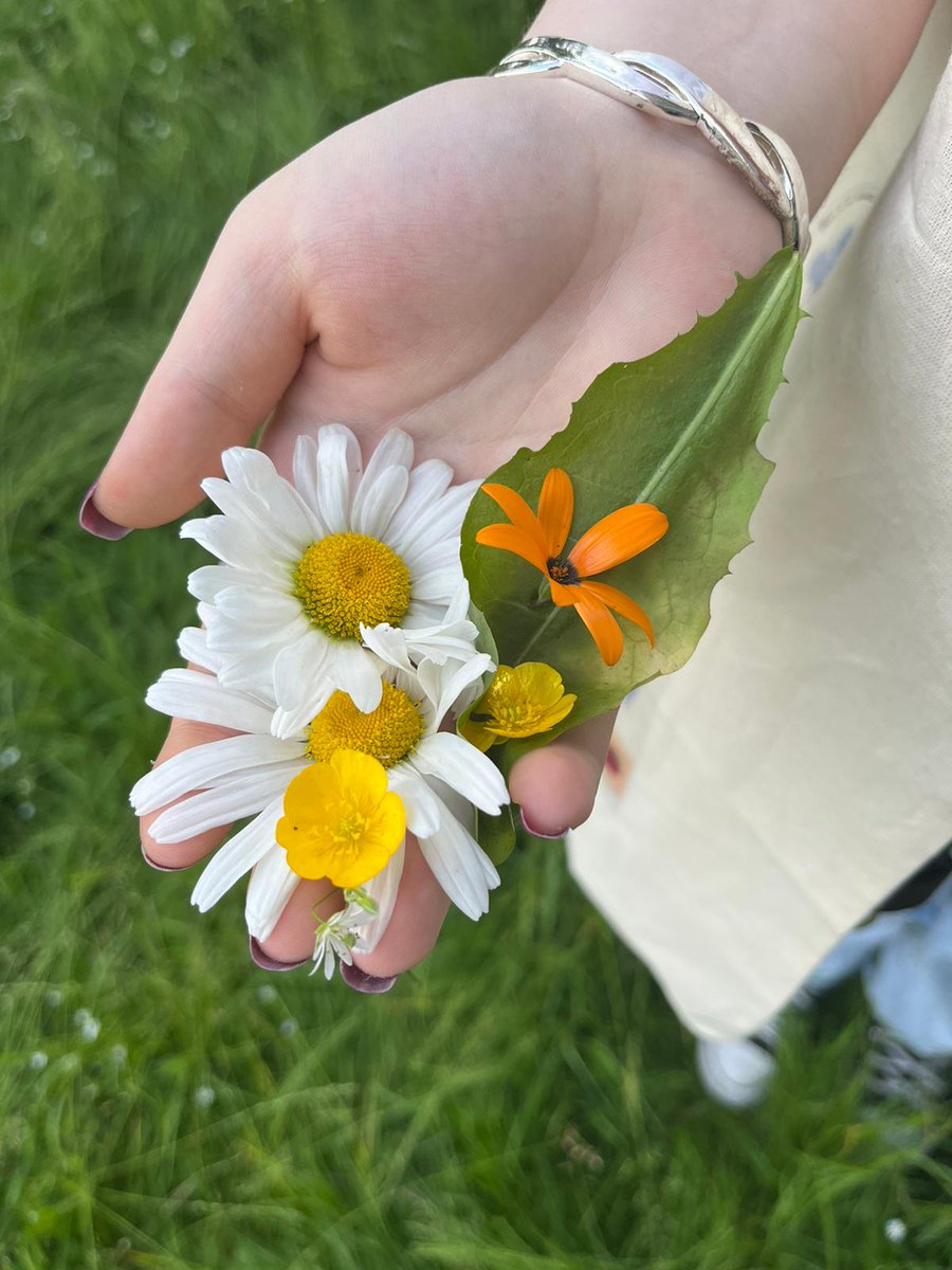 GildedLilyCic's tweet photo. First session of our newest SHE program started up on Monday! 🌸 A foraging & flower picking activity with The Little Foragers Kitchen, making daisy chains & picking flowers for handmade soap 🌻 #SHEProgram #supportingherempowerment #gildedlilycic #govan #g51 #foraging #nature https://t.co/bdbb6s8EXx