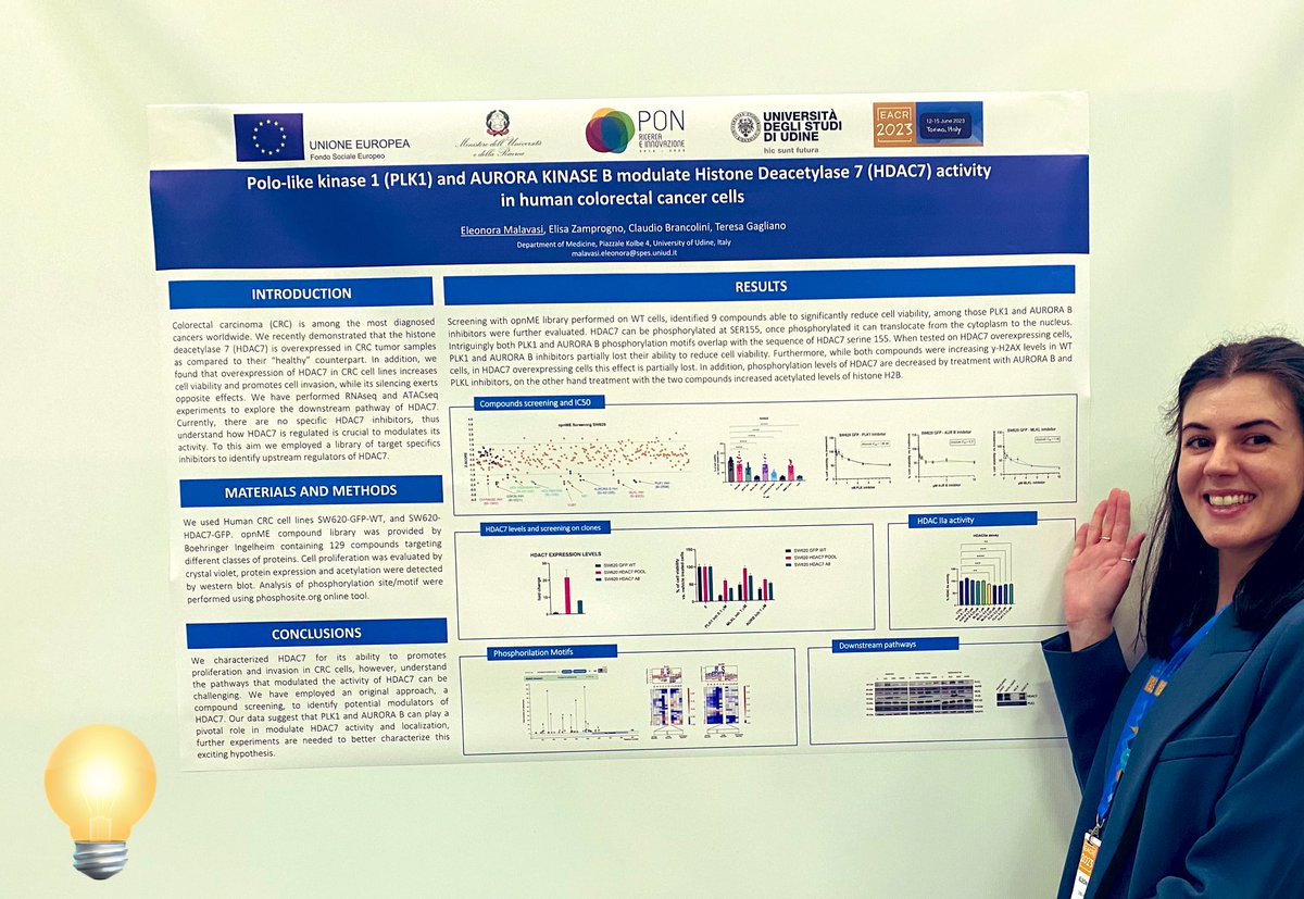 Congratulations to @eleonoramala for successfully present her poster at #EACR2023!
@EACRnews @uniud 
#Research #PhDStudents #phdlife #cancer #research #myuniud #uniud