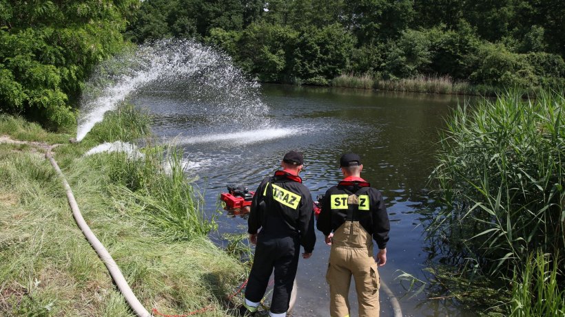 Umwelt: Tote Fische, giftige Goldalge: Polen beruft Krisenstab ein morgenpost.de/vermischtes/ar…