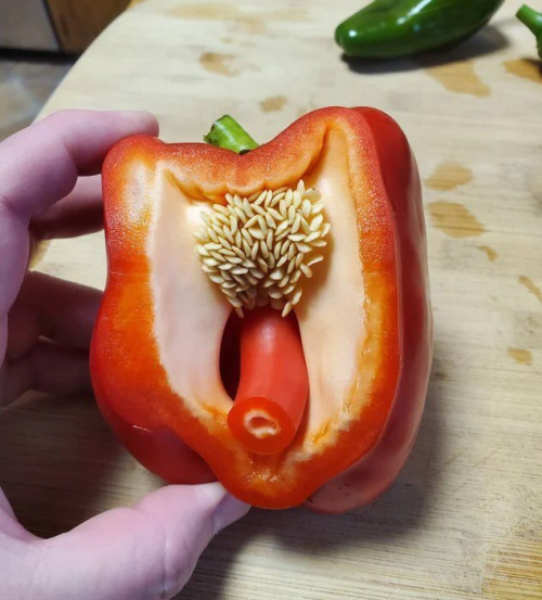 3721Nataku's tweet photo. What kind of mischievous soul wouldn't be intrigued by this hyper-realistic chili pepper sex toy that mimics the human anatomy?
#girl #sextoys #love #job #parttimejob #womanownebusiness #selfloveiskey #pleasure #adulttoys #vibrators #gay https://t.co/cza4ad3txo