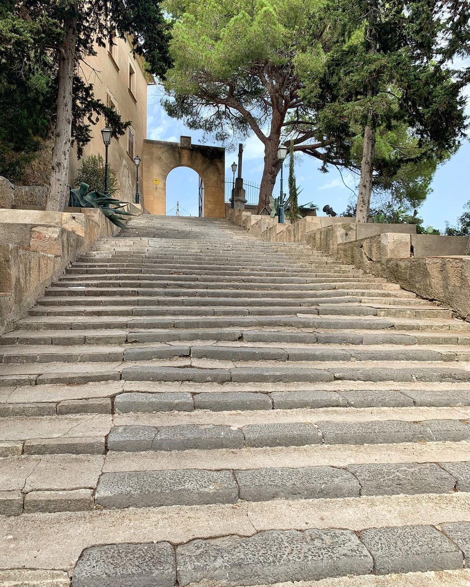ele_tourism's tweet photo. Per arrivare al #Santuario ho percorso una 𝒍𝒖𝒏𝒈𝒂 𝒔𝒄𝒂𝒍𝒊𝒏𝒂𝒕𝒂. 🏃♀️
😍 Dalle mura del #castello si gode di un panorama mozzafiato sulla cittadina e sull'intera vallata.
#eleonora_martis #mallorca #majorca #maiorca #visitmallorca #visitmajorca #visitspain #calarstjada https://t.co/F5cmm0f9Kc