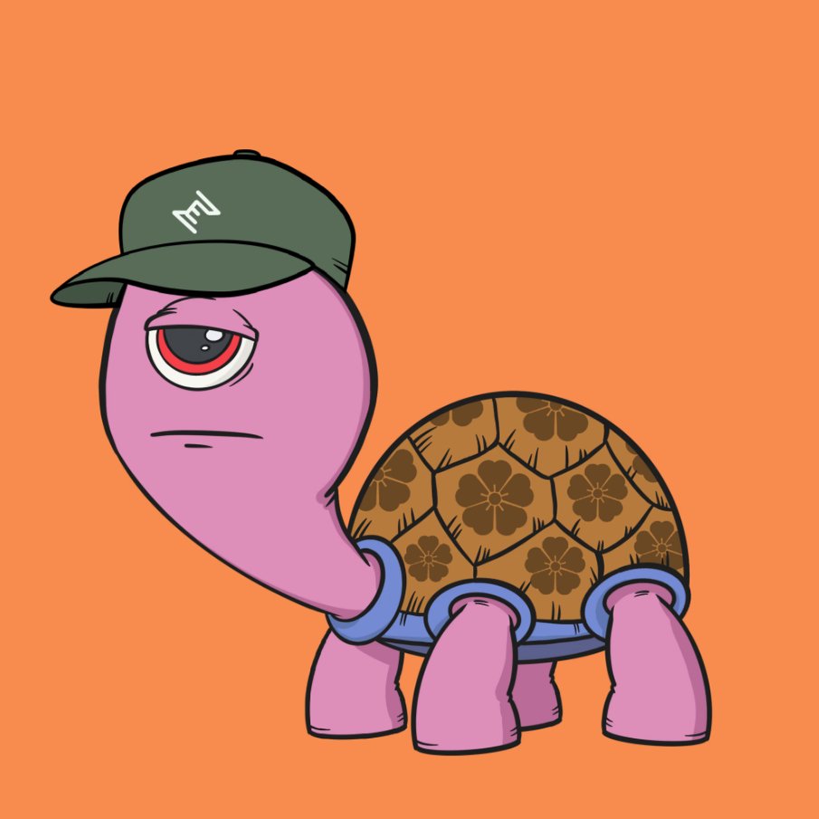 Look ma! I went shopping!

Been watching <a href="/CycloTurtles/">CycloTurtles by NotEssential™</a> for a while and love their initiative.

This turtle perfectly represents my mood these days, esp with all the crypto/web3 legal drama.