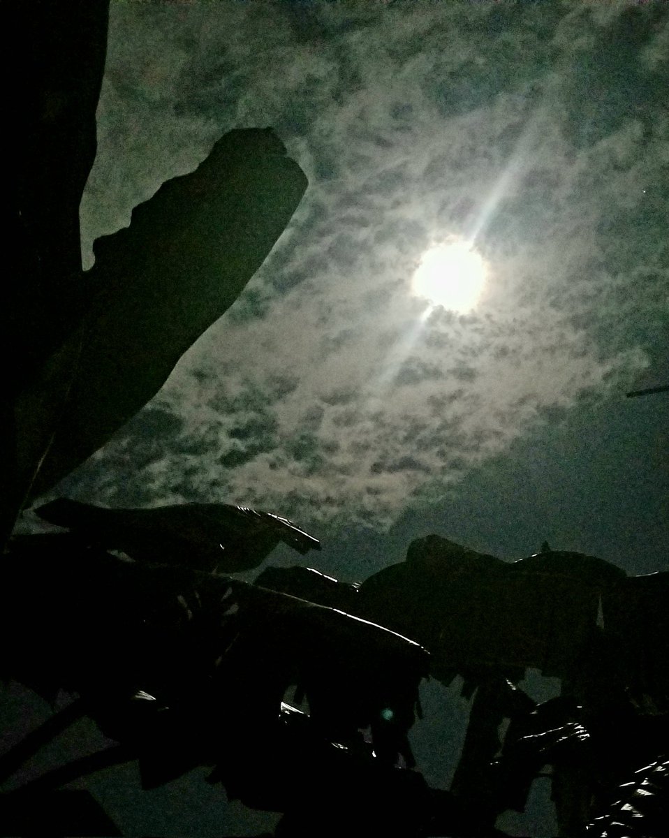 MomoRoton's tweet photo. https://t.co/zclFQ3F04K